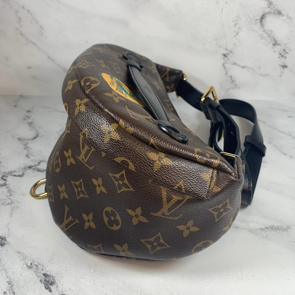 ββLouis Vuitton World Tour bumbag Monogram waist crossbody My LV leather bum bag - Picture 7 of 16